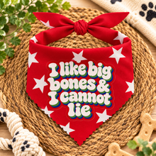 I like big bones and I cannot lie dog bandana. Patterned dog bandana in red and white stars. Dog neck tie.