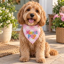 A pink and white gingham pet bandana with a bow on top, featuring the text 'Mummy's Pup' in pastel letters. Mummys pup adjustable dog bandana. Mums puppy dog scarf in pink and white check. Tie on dog neck tie.