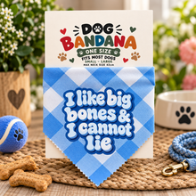 A blue and white gingham dog bandana with the text 'I like big bones & I cannot lie' in white bubble letters, displayed on its white cardboard backing. The scene is styled with dog treats, a ball, a leash, and a bowl in a garden setting.