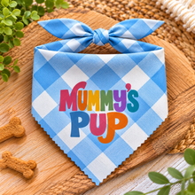 A blue and white gingham pet bandana with a bow on top, featuring the text 'Mummy's Pup' in colourful print. Mummys pup adjustable dog bandana. Mums puppy dog scarf in blue and white check. Funny slogan Tie on dog neck tie.