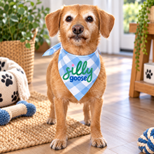 Silly goose dog bandana in blue and white gingham check. Funny cute slogan dog bandana. Adjustable dog neck tie.